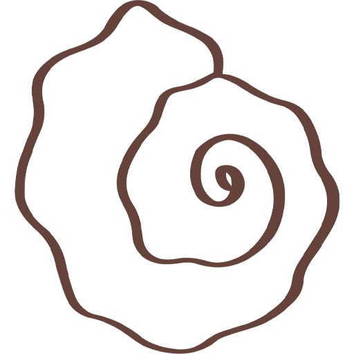 cropped favicon reizen met rebecca 70