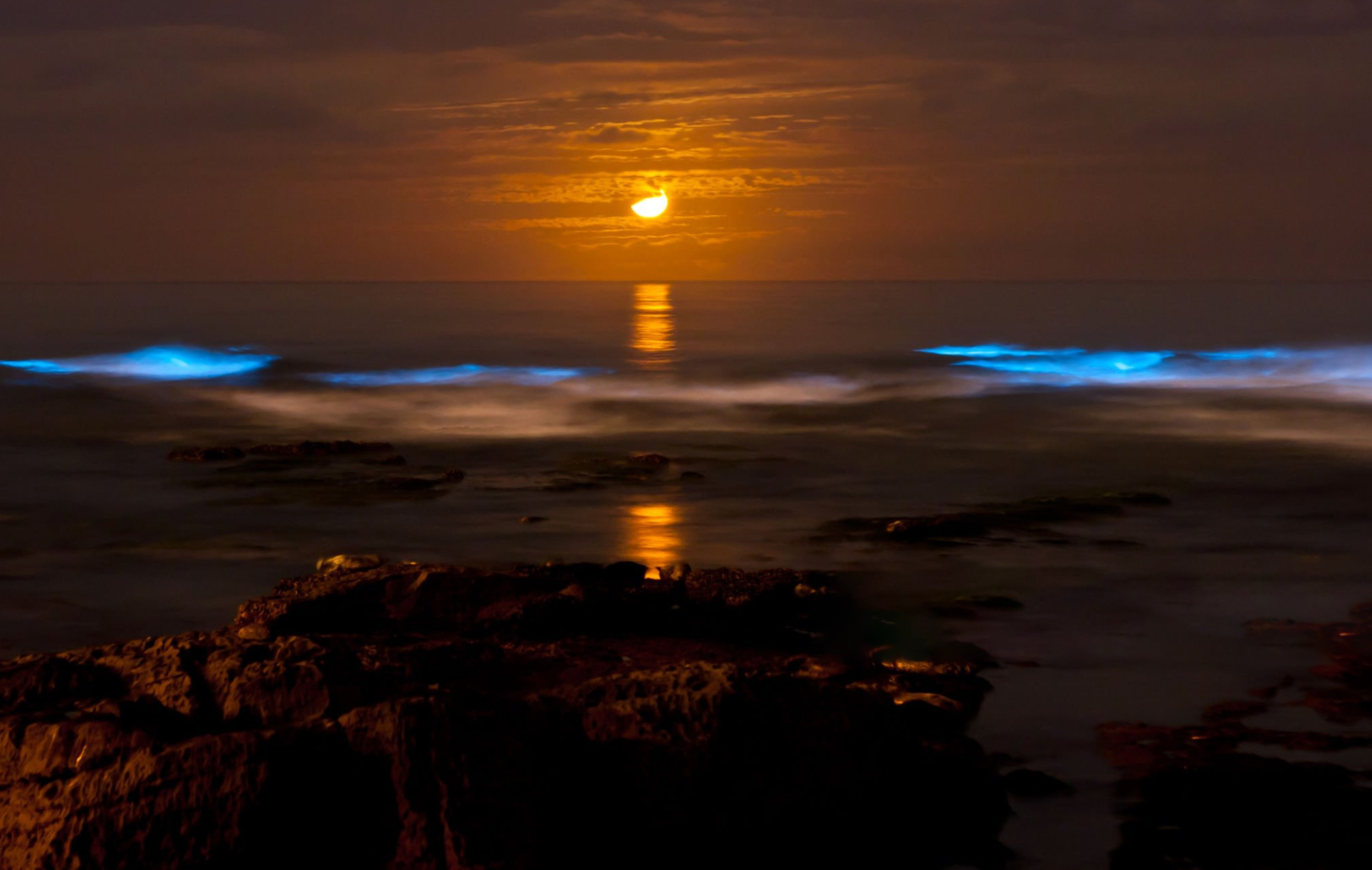 Bioluminescentie in Nicoya - Reizen met kinderen en Costa Rica impact reizen