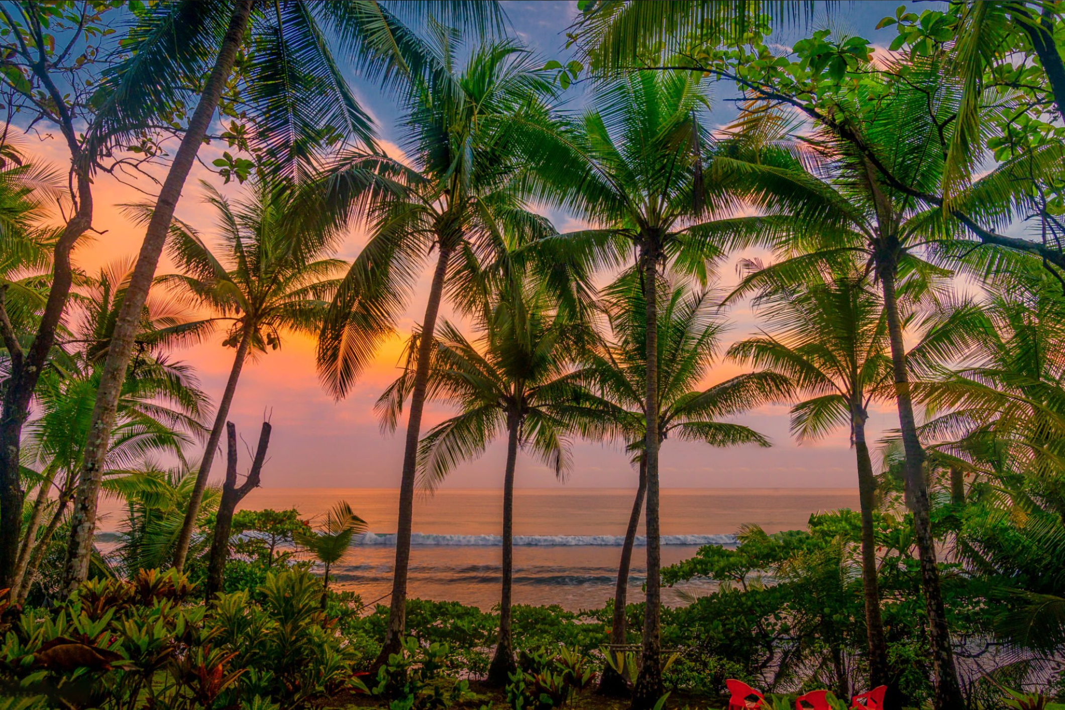 Corovado National Park Golfo Dulce - Reizen met kinderen en Costa Rica impact reizen