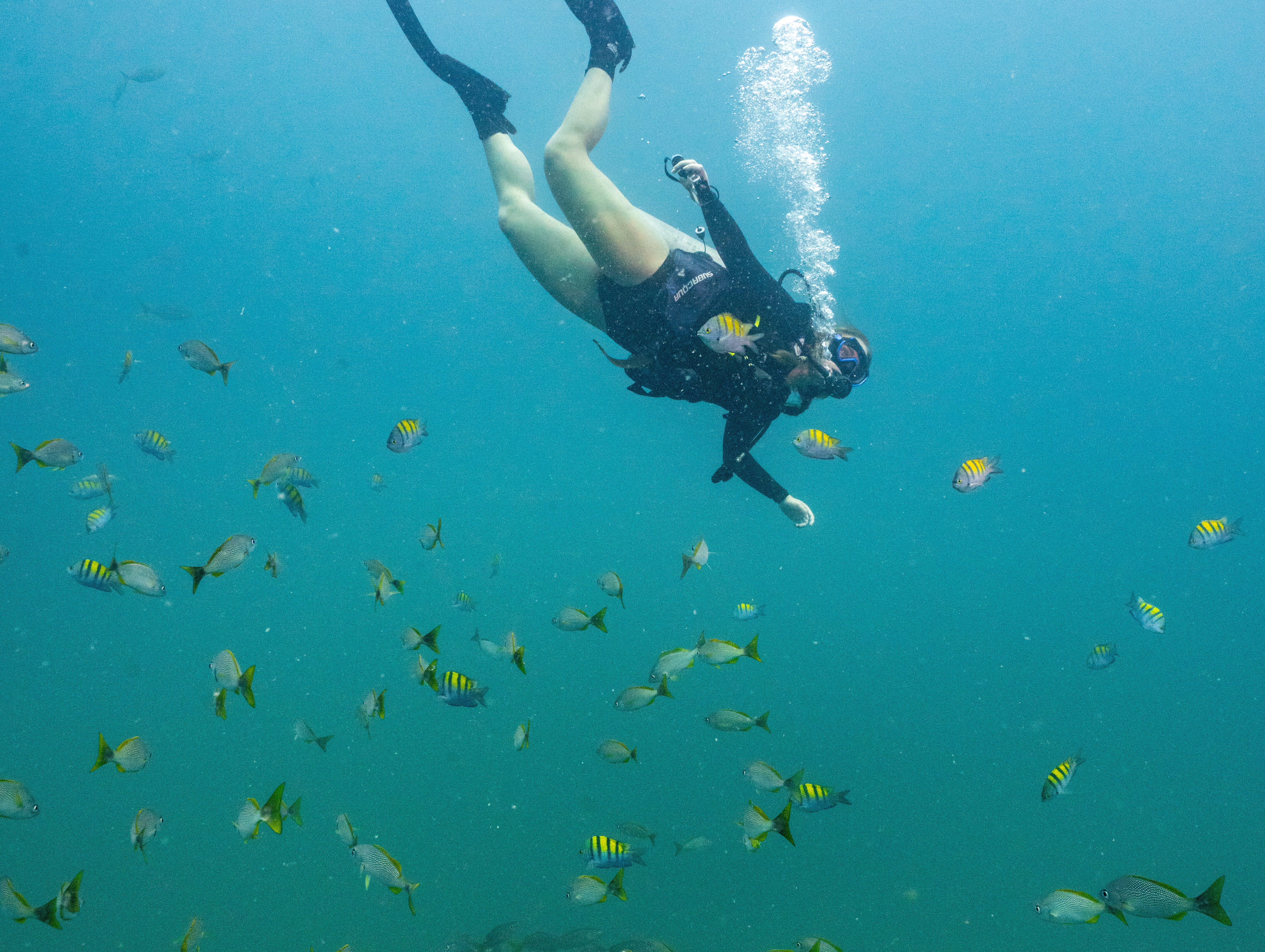 Snorkel - Reizen met kinderen en Costa Rica impact reizen