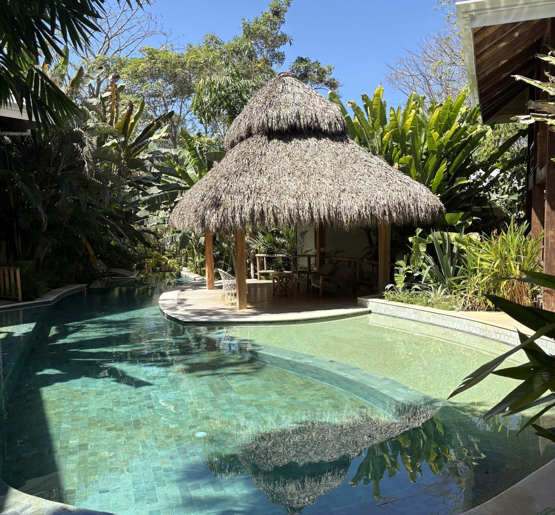 Ylang Ylang - Reizen in Costa Rica met kinderen en impact