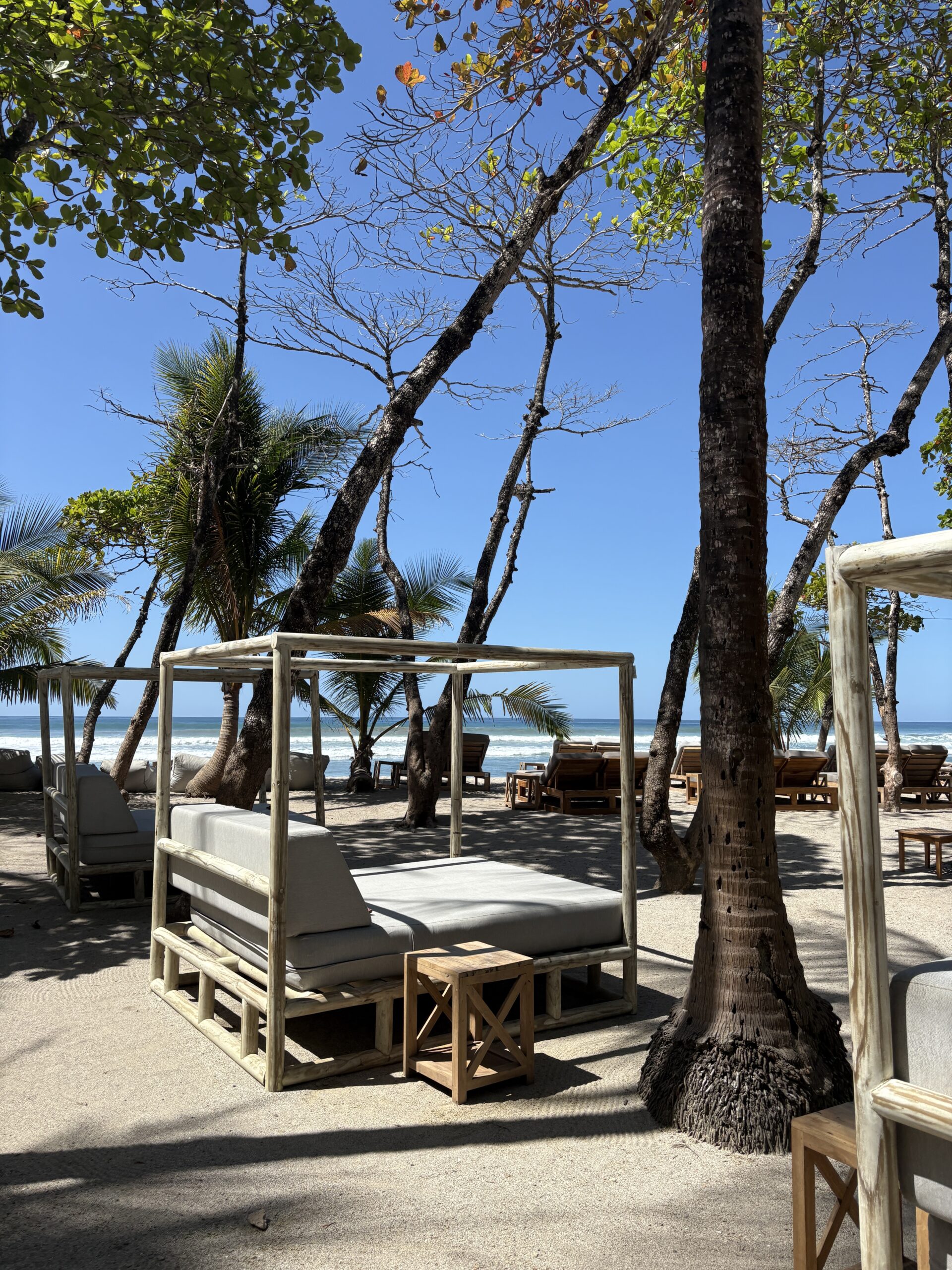 Ylang Ylang - Reizen in Costa Rica met kinderen en impact