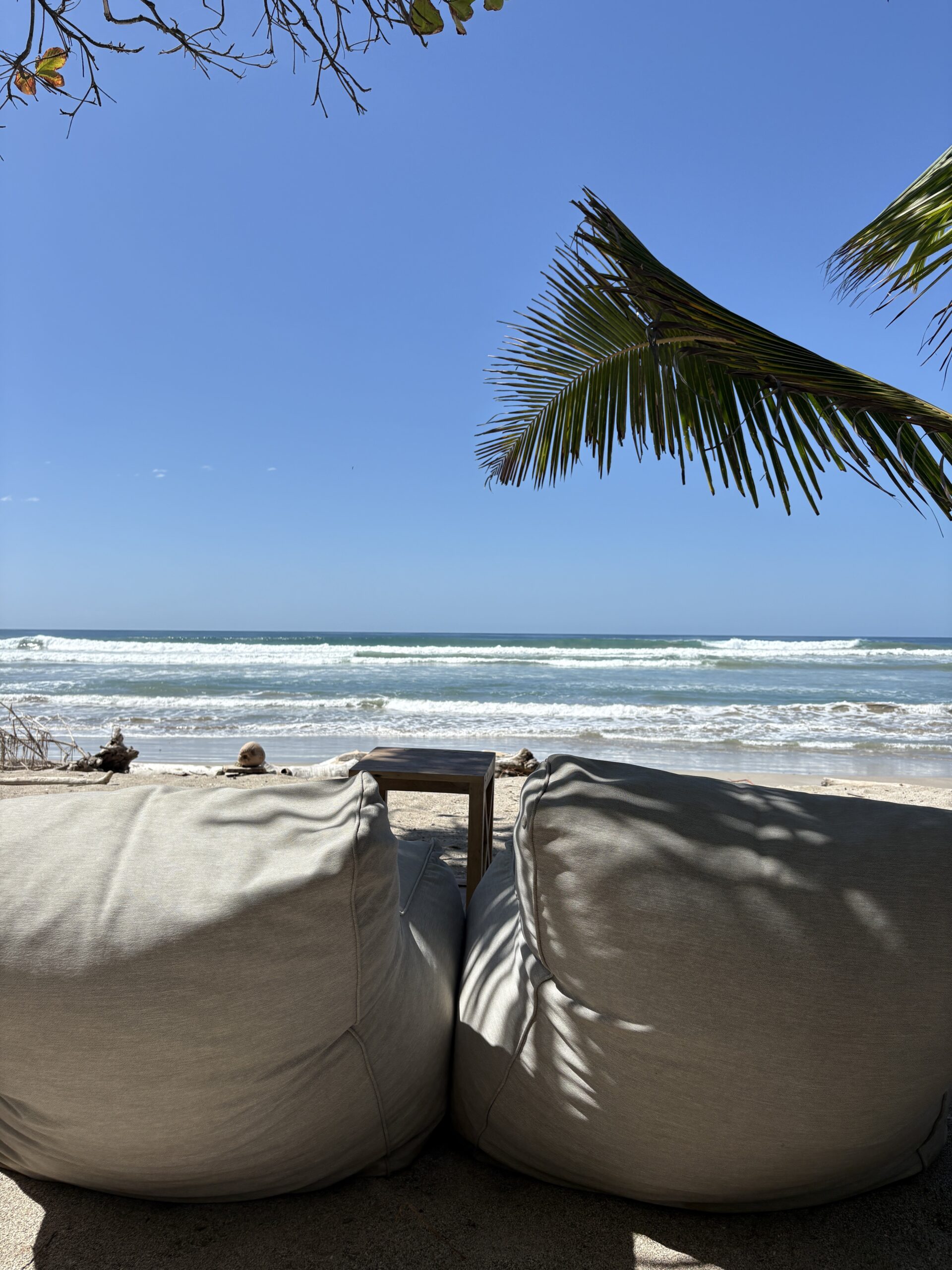 Ylang Ylang - Reizen in Costa Rica met kinderen en impact