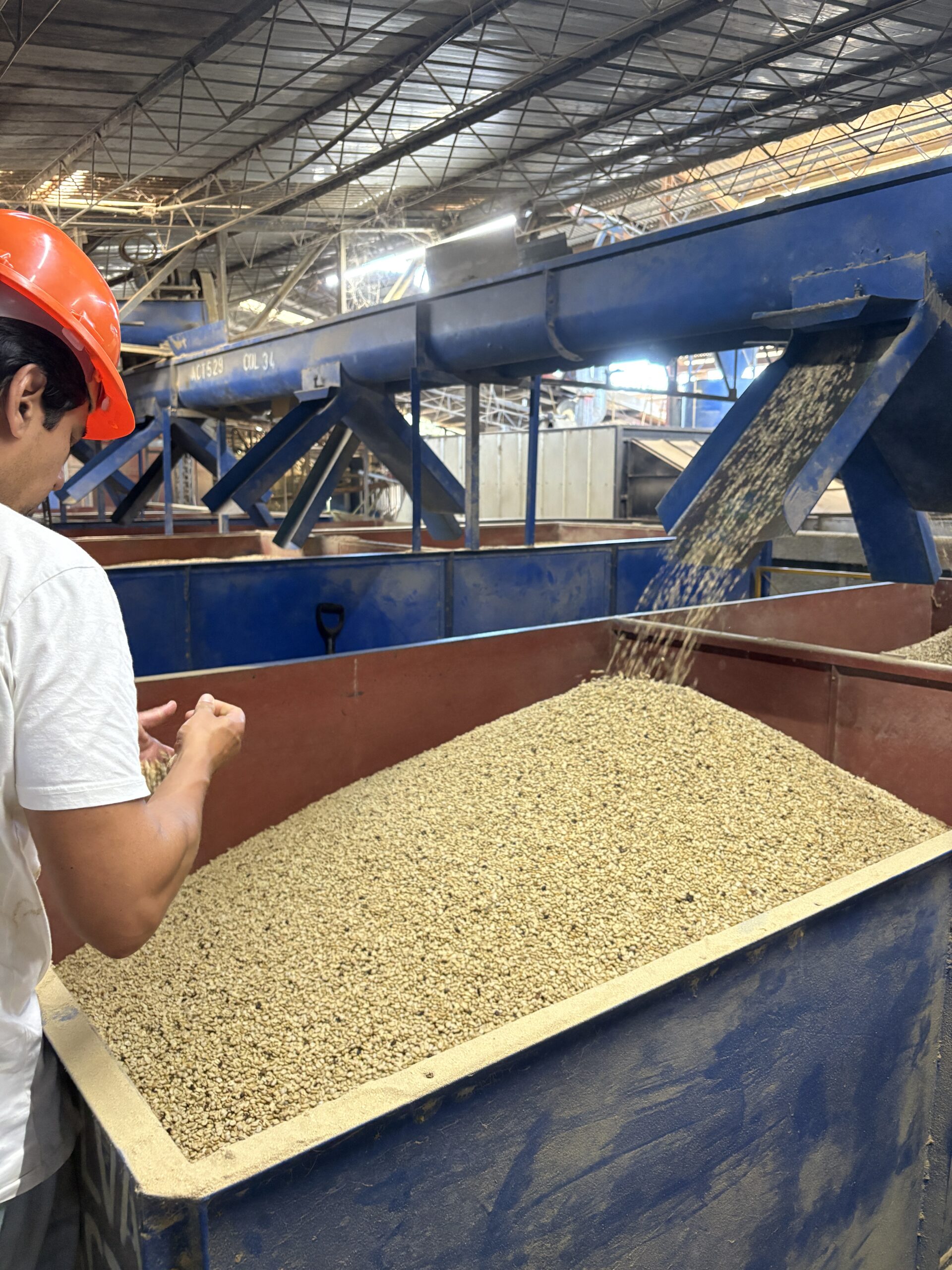 Koffie fabriek - Reizen in Costa Rica met kinderen en impact