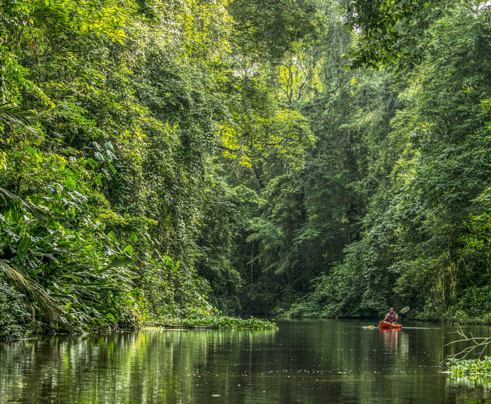 tortuguero - Reizen met kinderen en Costa Rica impact reizen