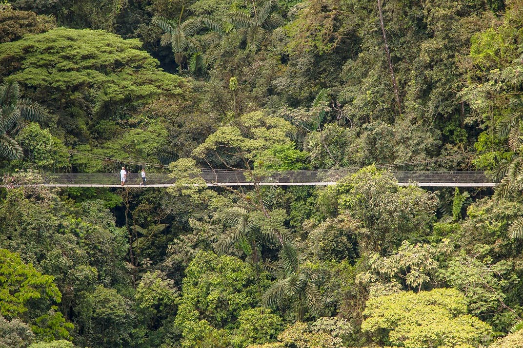 Hangende bruggen - Reizen met kinderen en impact in Costa Rica